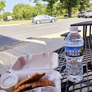 Chicken Tender App &amp; Bottled Water. 11 bucks!!