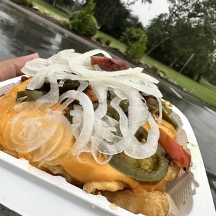 Wubzie Loaded Fries sub grilled for raw onions