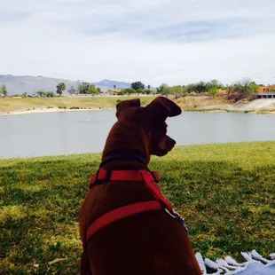 Grab some shade under a tree. Perfect.