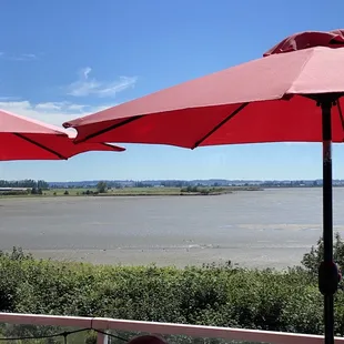 View from deck - low tide