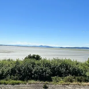 The view (low tide)