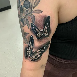 Butterflies done by Mylow