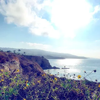 B R.