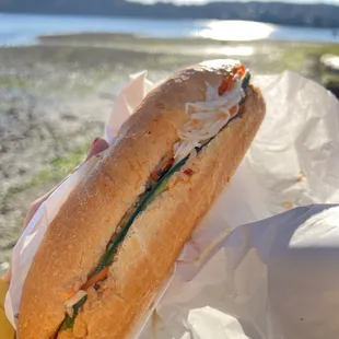 Quietly eating a Spicy Tofu Sandwich on Bainbridge island