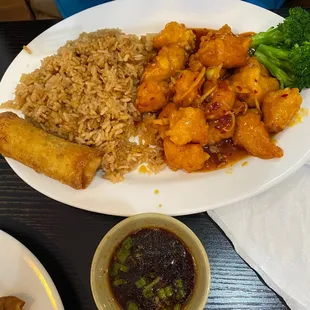 a plate of chinese food