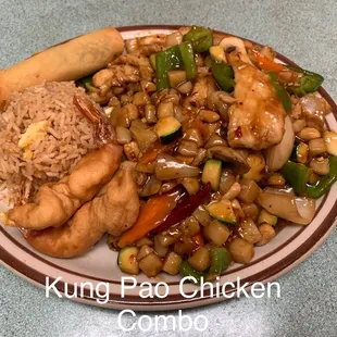 a plate of chinese food