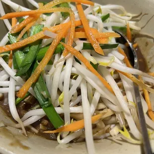 noodle dish, ramen, ramen and noodles, noodles, food, noodle soup