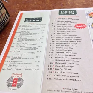 we always order the basics : veggie lo mein and hubby orders the beef fried rice