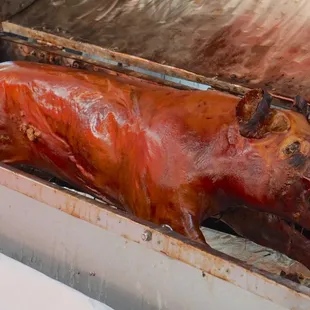 LECHON FILIPINO style cooked pig (70LBS) *fresh pig picked up from Chun's Meat *1/8/22