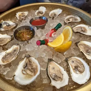 Oysters