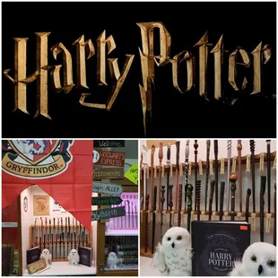 We have the largest selection of Harry Potter character wands, over 60 different ones, plus Spellbooks, and much more