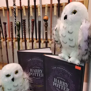 Largest selection of Harry Potter wands in the southwest