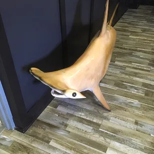 a wooden dolphin sculpture