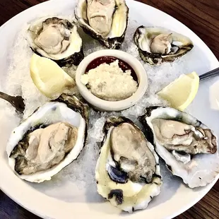 Oysters in a half shell - Best I've ever had