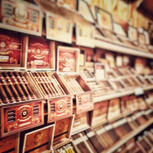 shelves of cigars