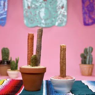 a cactus in a flower pot and a small cactus in a bowl