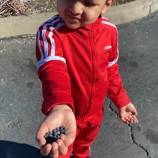 Big B.