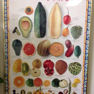 Exotic fruit poster
