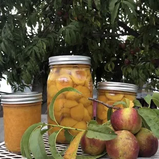 Organic Apricot en almíbar y mermelada