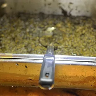 Spinach