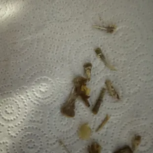 More broken bones in the chicken biryani.