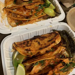 Two orders of 3 each quesibirra tacos