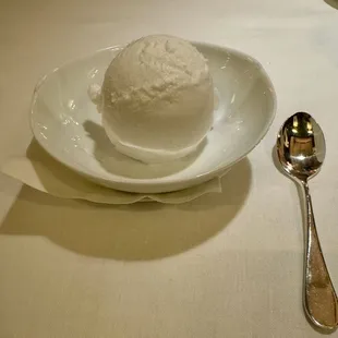 Coconut Sorbet
