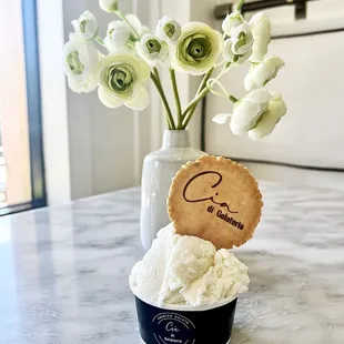 Sticky Rice Gelato
