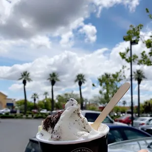 a hand holding a cup of ice cream