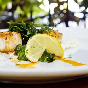 Scallops