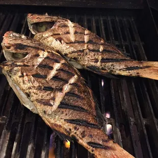 Branzino acqua pazza, grilled Branzino served whole topped with white wine, shaved garlic, extra virgin olive oil and fresh, topped tomato!