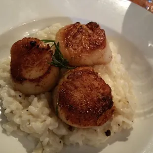 Scallops