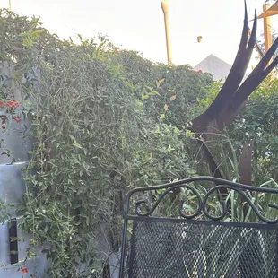 Patio vibes at the beer garden