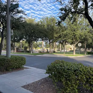 a street with trees and bushes
