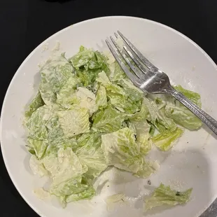 Caesar Insalata Caesar