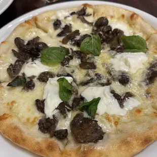 Fungi Pizza