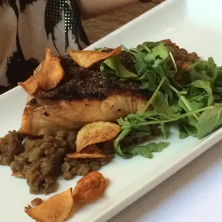 Salmon