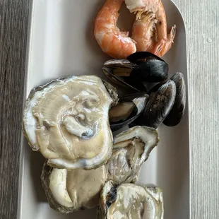 food, shellfish, oysters and mussels, mussels, oysters