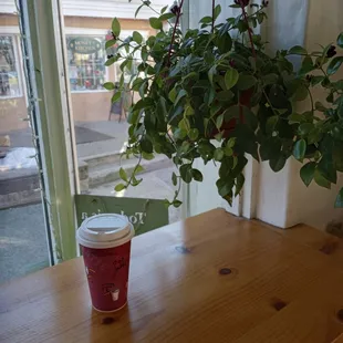 I ordered coffee Late with oatmilk, so great.