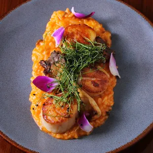 Scallops &amp; Mushrooms with Creamy Guajillo Rice &amp; Trumpet Mushroom photographed by @damoneats