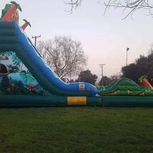 Tiki falls water slide