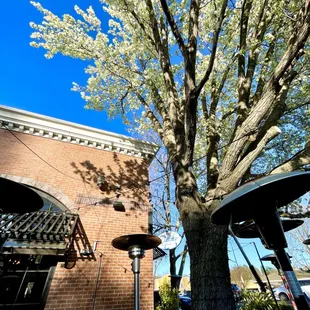 Patio seating in march (03/2024)