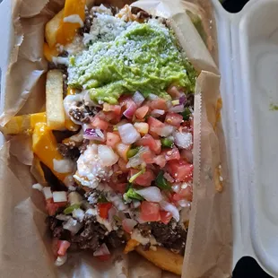 Carne asada fries