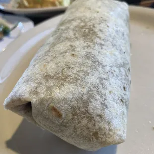 Carne Asada Burrito