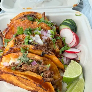 Birria Plate