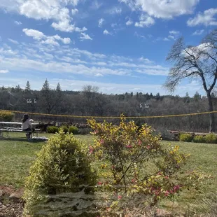 the view from the patio