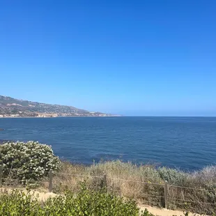 Views