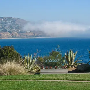 a bench overlooking the ocean