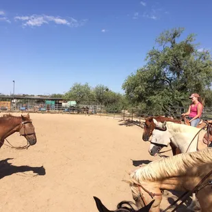 It's summer time which means camp time at head to tail riding school.