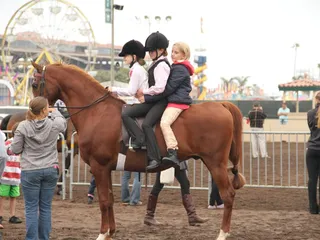 Sabino Equestrian Center